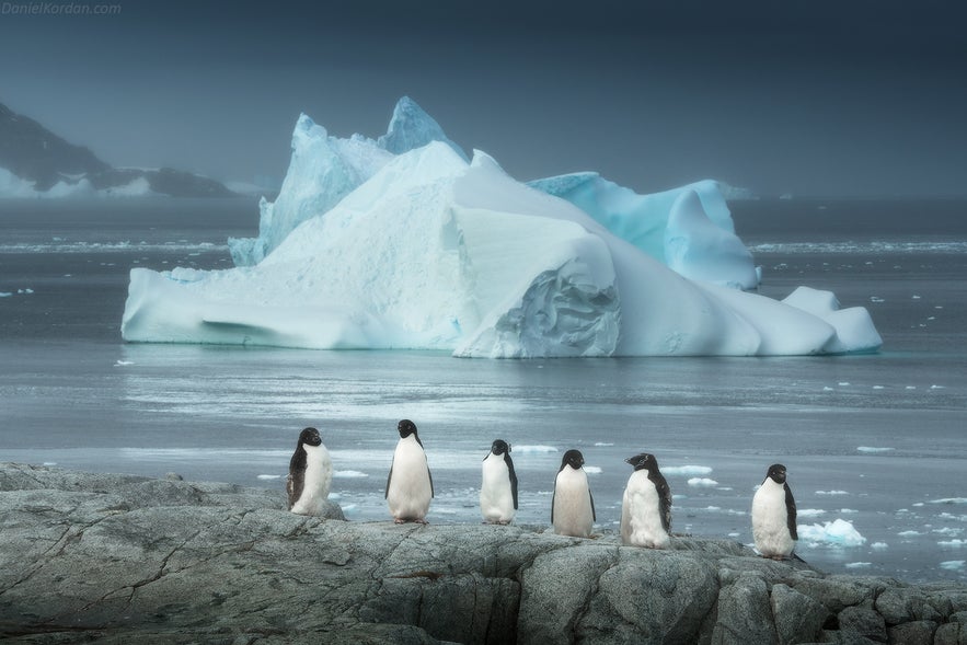 https://iceland-photo-tours.com/trips-and-experiences/international-workshops/kamchatka-photo-tour-in-the-land-of-the-giants