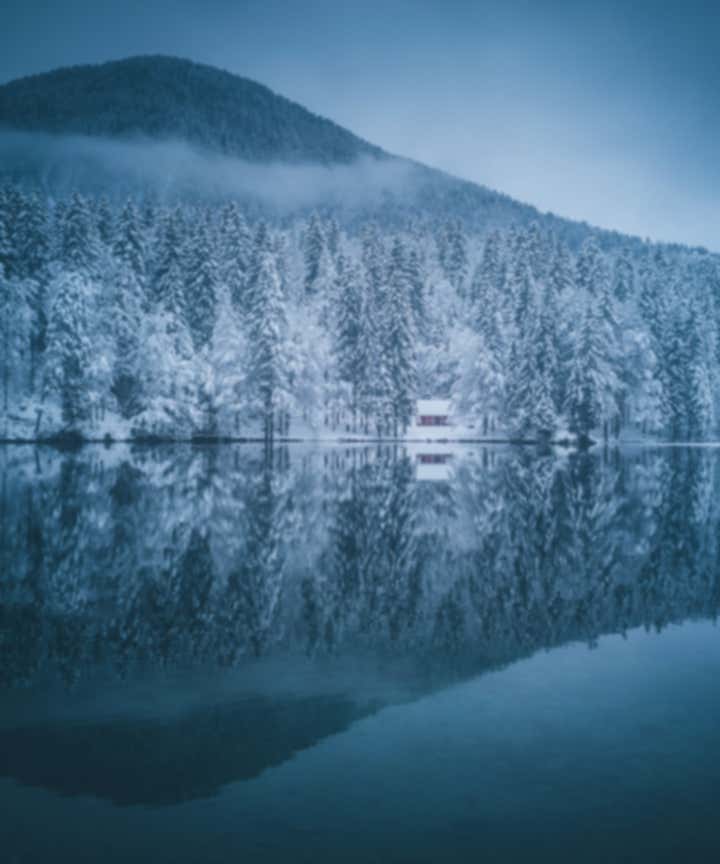 Mobile Photography Tips