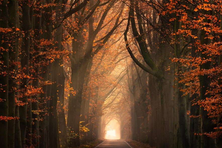 25 Useful Tips to Quickly Improve Your Landscape Photography