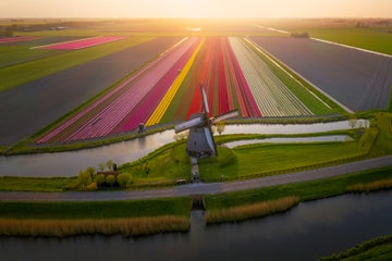 AlbertDros-DroneTips-AlbertDros-2.jpg