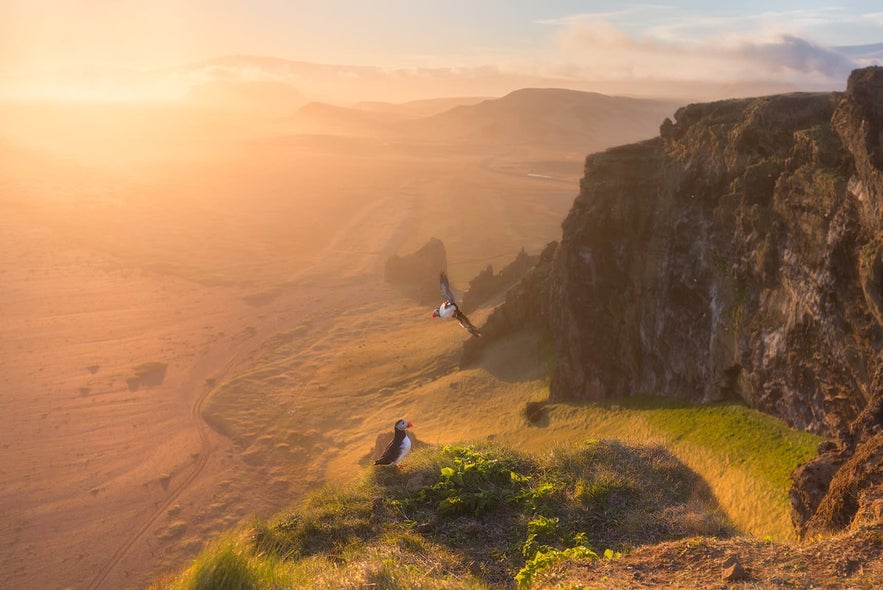 Iceland's empty landscapes make travel in Covid-19 safe!