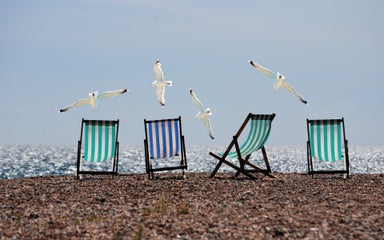 beach-sea-coast-bird-wind-seabird-715603-pxhere.com.jpg