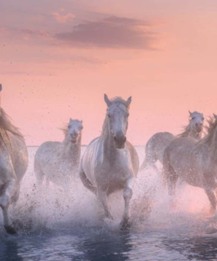France Photography Tours & Workshops