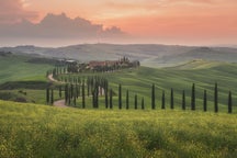 International Photo Tours