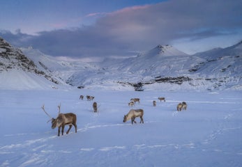 iceland photo tours iurie06 (1).jpg