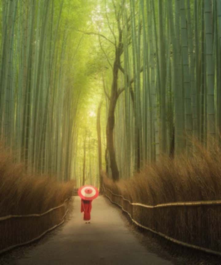Japan Photography Tours & Workshops
