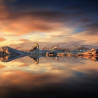 Steve Roe