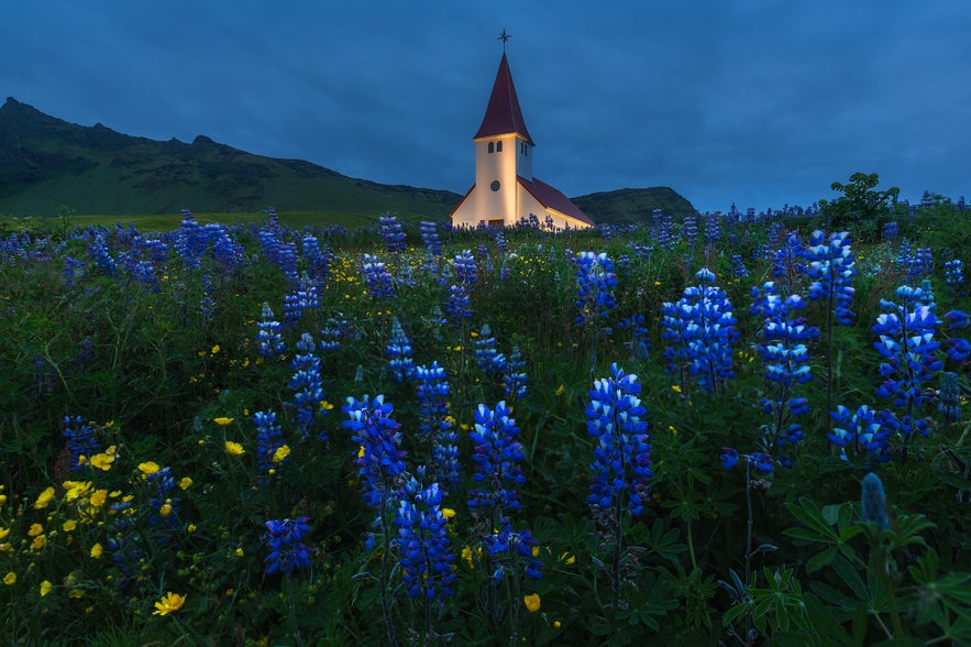 How to Use the Rule of Thirds in Photography