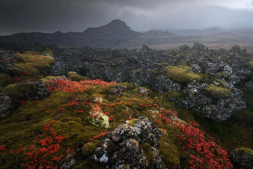 Best Time to Visit Iceland for Photography