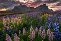 Summer Photo Tours in Iceland