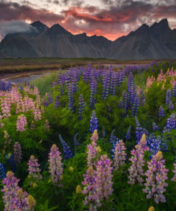 Summer Photography Tours & Workshops in Iceland